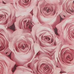 Meet your Posher, Hailey